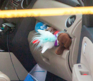 Auto-generated description: A car’s passenger seat door compartment holds several stuffed toys, including a unicorn and a brown animal.